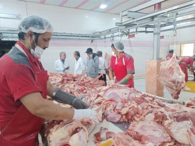 عوارض واردات گوشت و مرغ در سال جاری اعلام شد