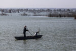 لزوم استمرار ورود آب به تالاب هورالعظیم