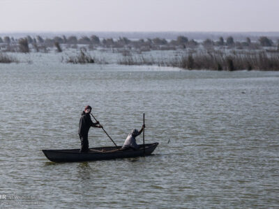 لزوم استمرار ورود آب به تالاب هورالعظیم