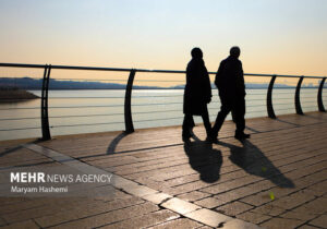 ماجرای حشرات ریز دریاچه شهدای خلیج فارس چیست؟