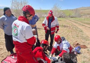 مشهدیزاده: چارت سازمانی هلالاحمر متحول میشود