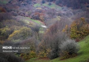نامه ایران به کنوانسیون تنوع زیستی؛ درخواست محکومیت جنگ