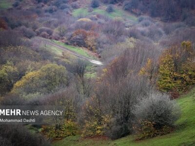 نامه ایران به کنوانسیون تنوع زیستی؛ درخواست محکومیت جنگ