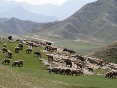 نرخ تعرفههای مرتعی در سال ۱۴۰۵ اعلام شد