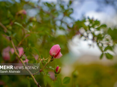 هوای آذربایجان غربی تا پایان هفته بارانی است؛ پیش بینی وزش باد شدید