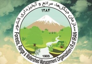 پیگیری بین‌المللی حمله به سازمان منابع طبیعی کشور