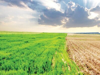 چالشهای اقلیمی کشاورزی ایران؛ از خشکسالی تا امنیت غذایی