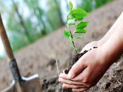 کاشت نهال به یاد شهدای جنگ تحمیلی رمضان به بهانه روز جهانی زمین پاک