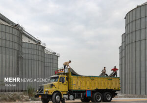 ۸۱۹ هزار تن کالای اساسی از طریق مناطق آزاد تأمین شد