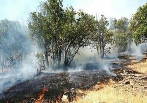 آمادگی محیط زیست برای مقابله با حوادث در مناطق حفاظت شده