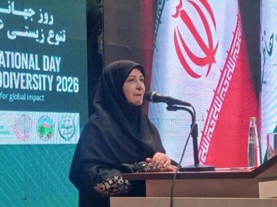 انصاری: توسعه نامتوازن تهدید اصلی تنوع زیستی ایران است