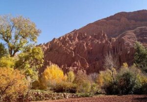 بحران تنوع زیستی، تهدیدی جهانی برای آینده بشریت است