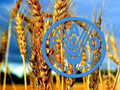بدون تنوع زیستی، تولید غذا با خطر جدی مواجه است