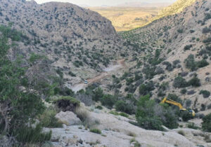 خانواده نخستین مدرسه برای حفاظت از محیط زیست است