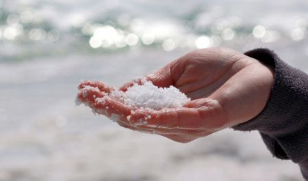 اخبار،اخبار جدید،اخبار روز اخبار،اخبار جدید،اخبار روز