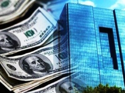 ماجرای توقف تسهیلات ارزی کالای اساسی/فهرست بدهکاران به بانک مرکزی رفت