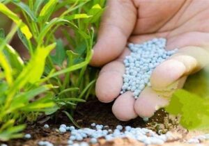 نسبت غلات به اوره به کف تاریخی رسید؛ خطر موج جدید تورم غذایی در جهان