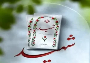 ۱۴ نیروی سپاه امروز در زنجان شهید شدند+ جزئیات