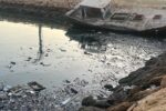 آغاز اجرای طرح مشترک مدیریت زبالههای دریایی در دریای خزر