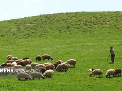 ارزش علوفه مراتع اصفهان به ۶ هزار میلیارد تومان میرسد