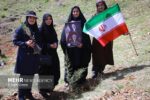 طرح کاشت یک میلیارد درخت در نیمه راه؛ بقای نهالها مهمتر از آمار کاشت