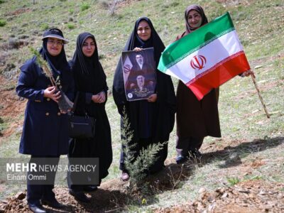 طرح کاشت یک میلیارد درخت در نیمه راه؛ بقای نهالها مهمتر از آمار کاشت