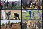 فرسایش زیست آموزشی؛ تهدید خاموش برای سرمایه انسانی و آینده کشور