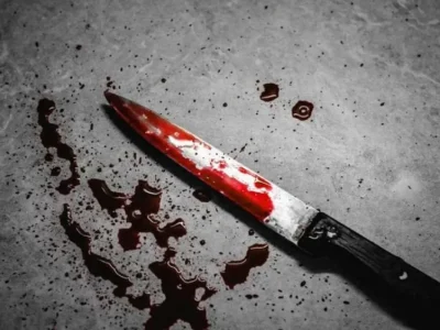 جزئیات جنایت دلخراش خیابان کارگر جنوبی/ قاتل زن و شوهر جوان به دو بار قصاص محکوم شد
