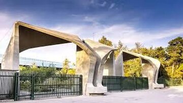 از سقوط در QS تا حذف از تایمز، وقتی سیاست دانشگاه را قربانی میکند/ روایت حذف دانشگاههای ایران از رتبهبندیهای جهانی