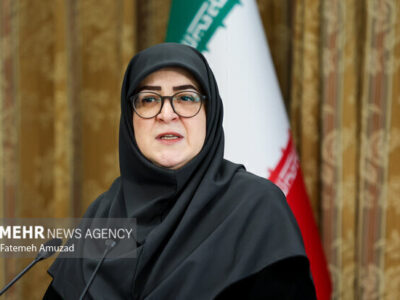 بازدید سخنگوی دولت از مرز مهران