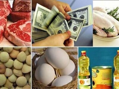 دستور رئیسجمهور هم گره کور تأمین کالای اساسی را باز نکرد