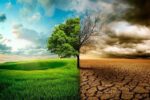زنگ خطر النینو برای اقتصاد جهان؛ شرکتهای بزرگ در آمادهباش
