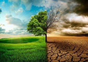 زنگ خطر النینو برای اقتصاد جهان؛ شرکتهای بزرگ در آمادهباش