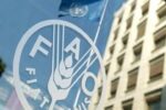 فائو هشدار داد: جهان با افزایش قیمت مواد غذایی مواجه است