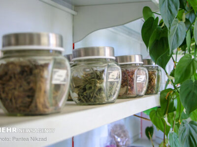 نگاهی به جایگاه داروسازی سنتی در ایران