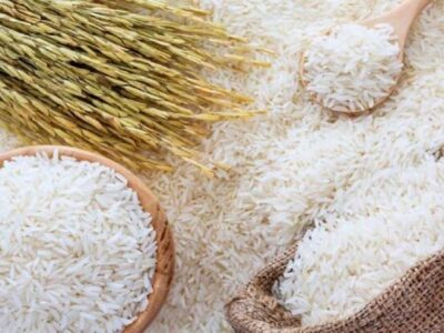 ثبت سفارش واردات انواع برنج از امروز آغاز میشود