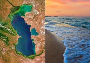 منابع ژنتیکی خزر؛ محور راهبردی همکاریهای زیستمحیطی پنج کشور ساحلی