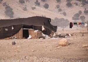 تأکید جمعی از نمایندگان بر لزوم رفع مشکلات زیرساختی روستاها و عشایر