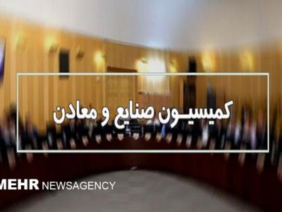 تشکیل کارگروه ویژه مجلس برای ترک فعل مسئولان خودروسازی