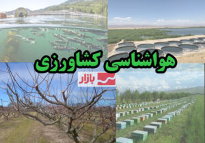 توصیه هواشناسی کشاورزی به کشاورزان: آماده بارش و وزش باد شدید باشید