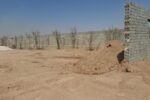 شناسایی منشأ بوی شمال شهر اصفهان؛ ۳۰۰ تُن خاک آلوده پاکسازی شد