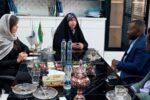 ظرفیتهای سرمایهگذاری و مزیتهای تجاری خوزستان به سرمایهگذاران آفریقایی منتقل شد